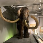 ミュージアムカフェ ぽらす - 