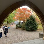 ミュージアムカフェ ぽらす - 