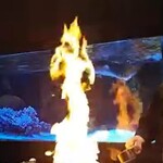 鉄板DINING集 - パフォーマンス