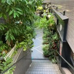 オフィシナ・デル・カフェ - 階段