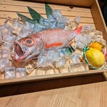 のどぐろ専門 銀座 中俣 - 