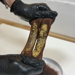 Daisy. - ドバイチョンドゥククッキー