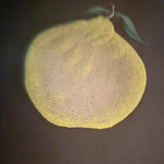 柚子屋旅館・一心居 - 