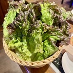 韓国居酒屋 韓謝亭 - 