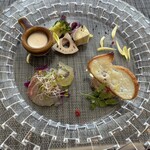 アマルフィイ ノベッロ - 