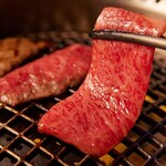 厳選A5黒毛和牛×焼肉食べ放題 令火 - 