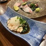 SUSUKINO いとや HANARE - 大好きなたちぽん♡