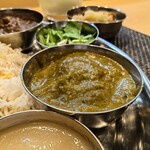 スパイス料理ナッラマナム - 