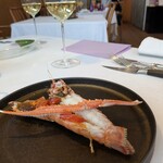 ラ ヴィオレッタ - 形原港より　天然赤座海老