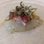 ラ ヴィオレッタ - 師崎　釣り「天然鮃3.6kg」