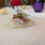 ラ ヴィオレッタ - 師崎　釣り「天然鮃3.6kg」