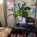 タヴェルナハンバーグ - 