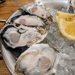 新宿 オイスターズインク - 