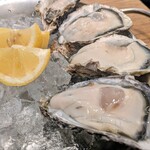 新宿 オイスターズインク - 