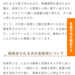 保護猫カフェ ヘミングウェイ - 安楽死ではない