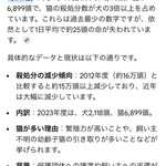 保護猫カフェ ヘミングウェイ - 猫はより苦しい境遇に置かれている