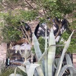 パンストック - 