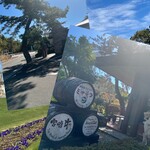 鉄板焼ステーキ 一ッ葉ミヤチク - 