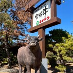 鉄板焼ステーキ 一ッ葉ミヤチク - 