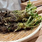 日本料理 佐々 - 