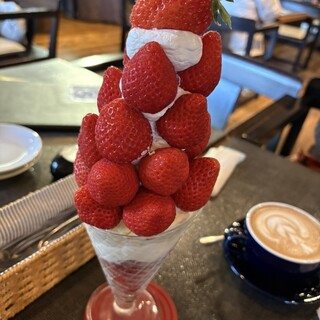 カサブランカ_0