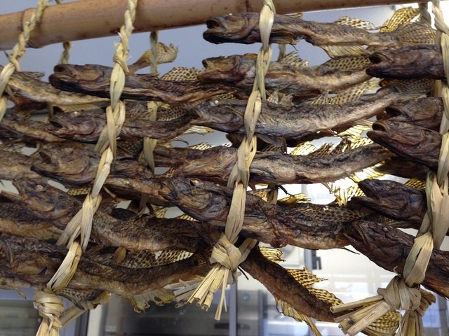 菅原魚店（スガワラサカナテン） - 川渡温泉（その他）の写真