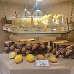 島ごころ 銀座 - 