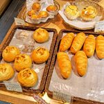 ヒポポタマス - 