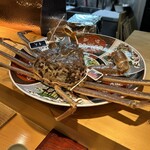 松屋町 青天 - 