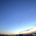 インデアンレストラン  ニューミラ - 