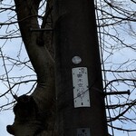 インデアンレストラン  ニューミラ - 