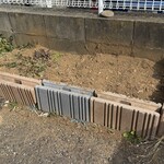 インデアンレストラン  ニューミラ - 今年もゴーヤの植え付けを待つw