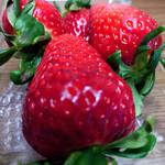 藤枝いちご園 - 