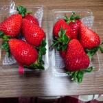 藤枝いちご園 - 