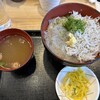 まるごと駿河湾