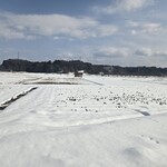 村食堂　おとと村 - 雪景色