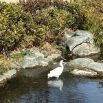 根津のたいやき - 