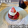 cannelle