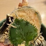 うどん ゆきの - 