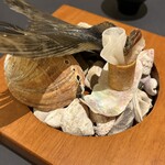 プレゼンテ スギ - 