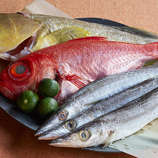 四季が息づく魚料理や鯛めしコースなど、こだわり尽くした和食