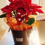 エム・ドゥエル - 