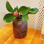 エム・ドゥエル - 