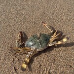 納屋～Cucina creativa～ - 