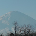 えび伝茶屋 - 雪景色の富士山、綺麗でしたよ