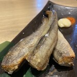 八海山公認 個室居酒屋 越後酒房 八海山 広島駅前店 - 氷下魚　858円