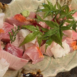 料理長が平塚漁港に毎朝買い付けに行く地魚をお楽しみ下さい