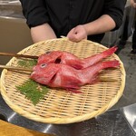 炉ノ鳥 - 