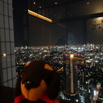 天空の庭　星のなる木 - 店内からの夜景