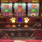 あずみうどん - あずみうどんを食べるとペカリます